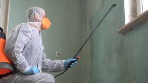 Why You Should Choose Our Mold Remediation Services in Killen, AL