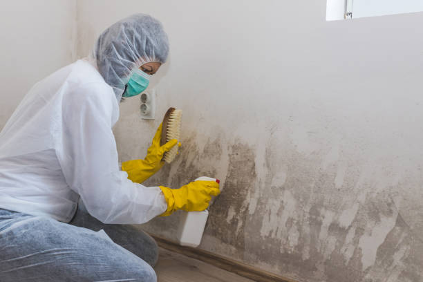 Forensic Mold Investigation in Killen, AL